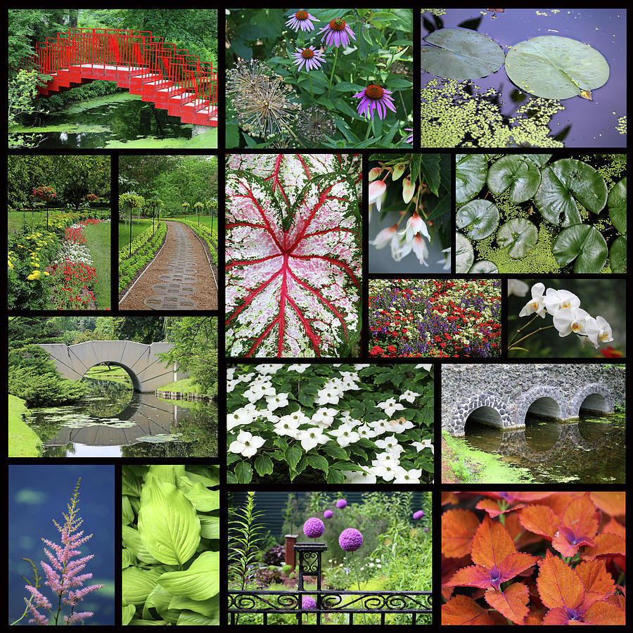 Dow Gardens Midland MI Collage Photograph by Mary Bedy