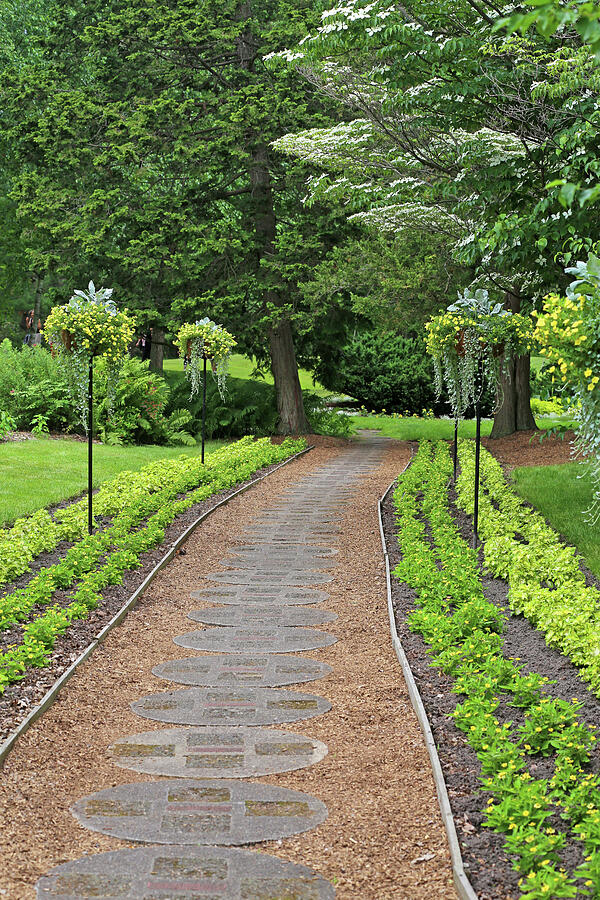 Dow Gardens Path 1 2018 Photograph by Mary Bedy