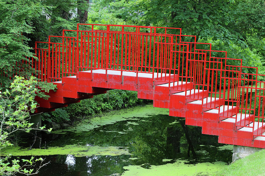Dow Gardens Red Footbridge 062618 Photograph by Mary Bedy