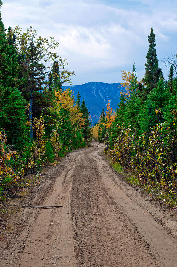 Down a Dirt Road - Vertical Photograph by Cathy Mahnke