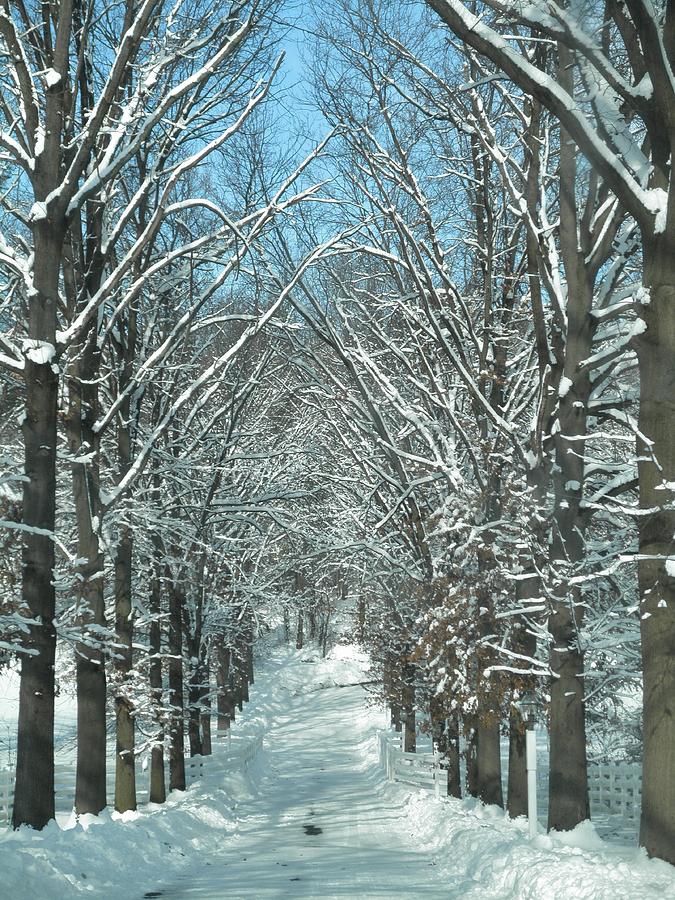 Down a Wintery Lane Photograph by Jeanette Oberholtzer