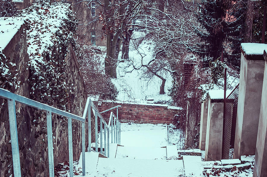 Down by Snowy Old Stairs Photograph by Jenny Rainbow