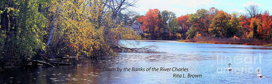 Down By The Banks of the river Charles Photograph by Rita Brown