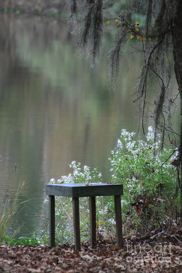 Still Life Photograph - Down By the River by Kimberly Saulsberry