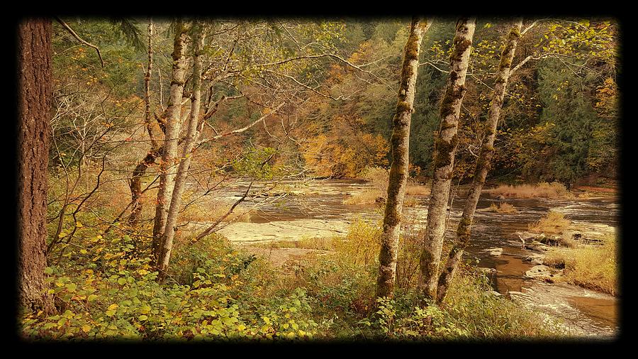 Down by the Stream III Photograph by Bonnie Bruno