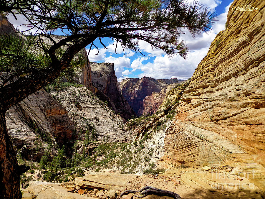Down Canyon Photograph by Adam Morsa