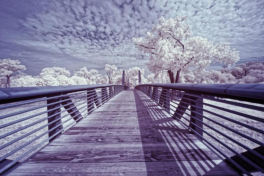 Nature Photograph - Down on the Bayou by Sander Hunter Nature Photograph - Down on the Bayou by Sander Hunter