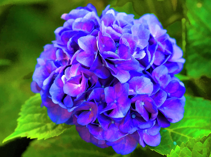 Down Right Purple to Blue Photograph by Kathy Clark