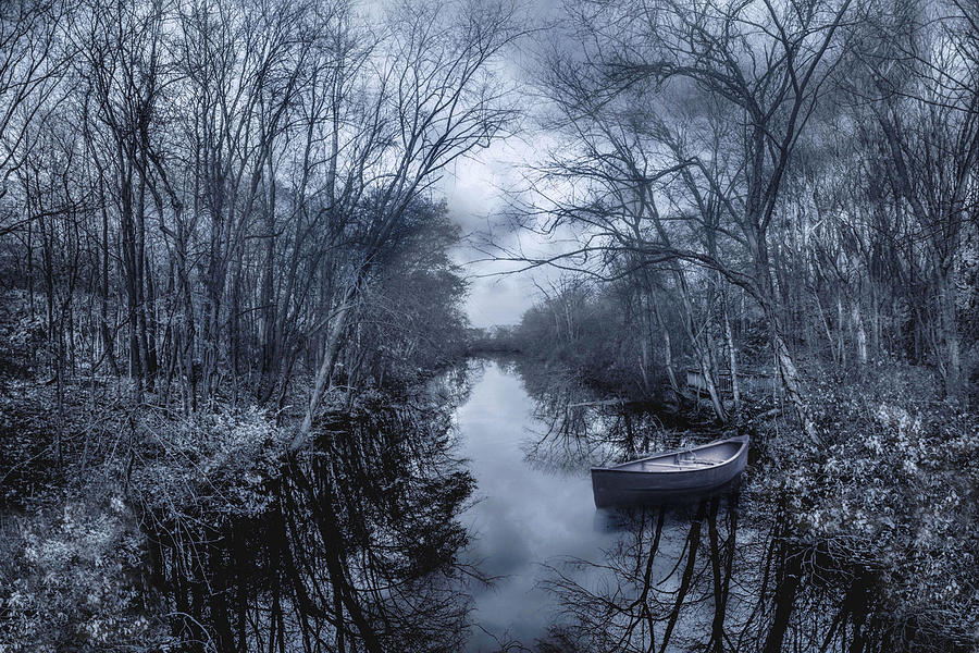 Down River Photograph by Robin-Lee Vieira