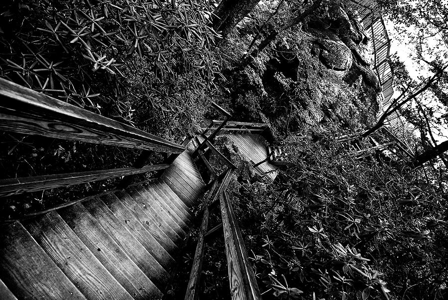 Down stairs  Photograph by Kevin Cable