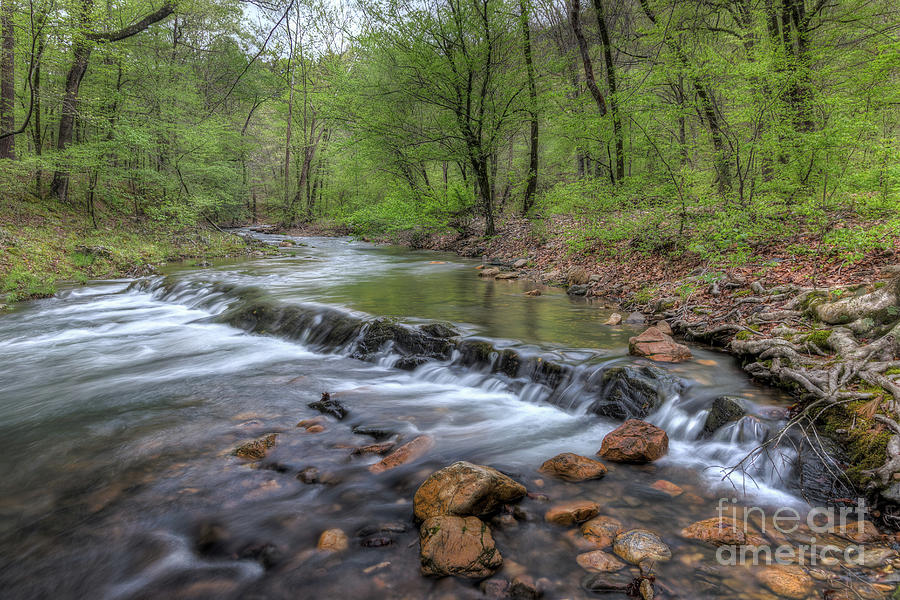 Down Stream by Larry McMahon Down Stream by Larry McMahon