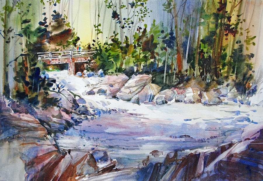 Tree Painting - Down Stream on Hoppers Creek by P Anthony Visco