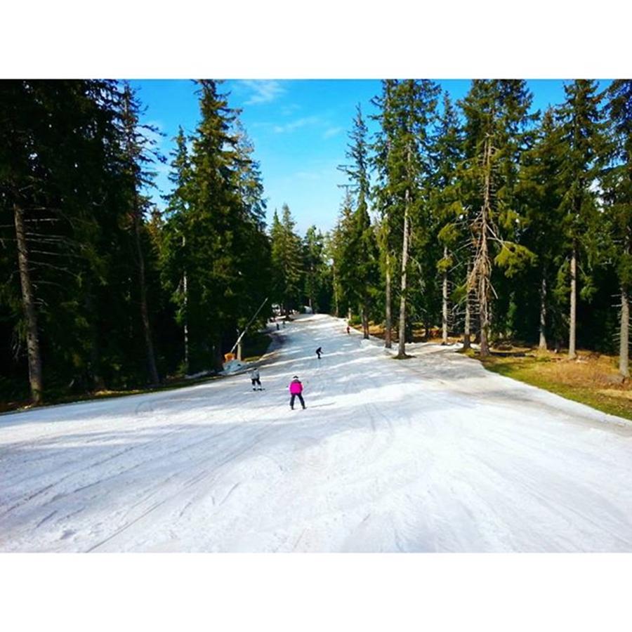 Nature Photograph - Down The Hill In Borovets 🏂🏂🏂 by Alexandra Nissimova