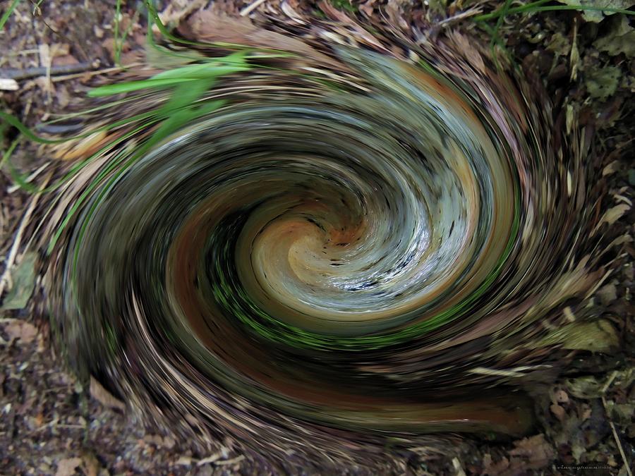 Down the Rabbit Hole Digital Art by Vincent Green