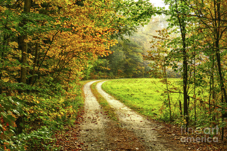 Fall Photograph - Down The Road by Deborah Benoit