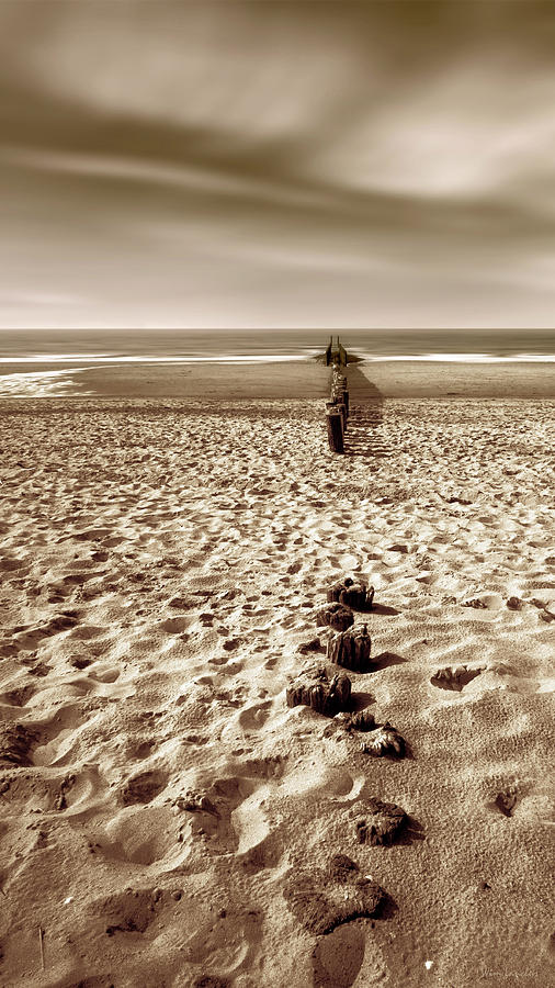 Nature Photograph - Down The Shore by Wim Lanclus