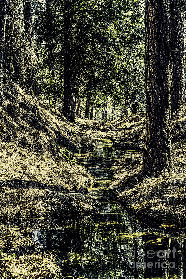 Down the Stream Photograph by Ken Frischkorn