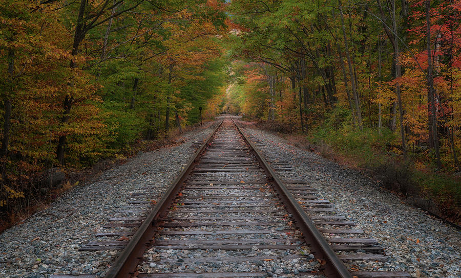 Down the Tracks Photograph by Darylann Leonard Photography
