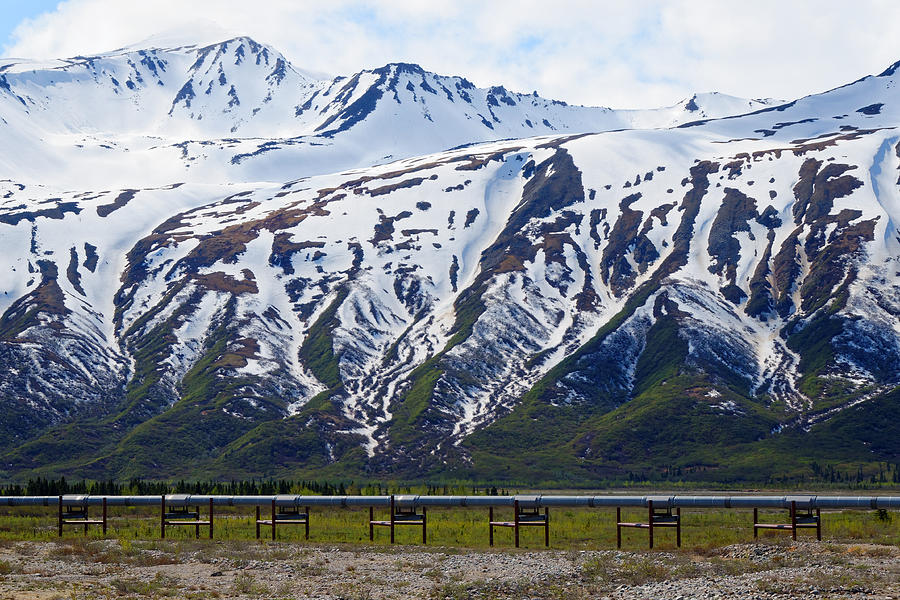 Down the Tubes -- Trans-Alaska Pipeline near Richardson Highway, Alaska Photograph by Darin Volpe