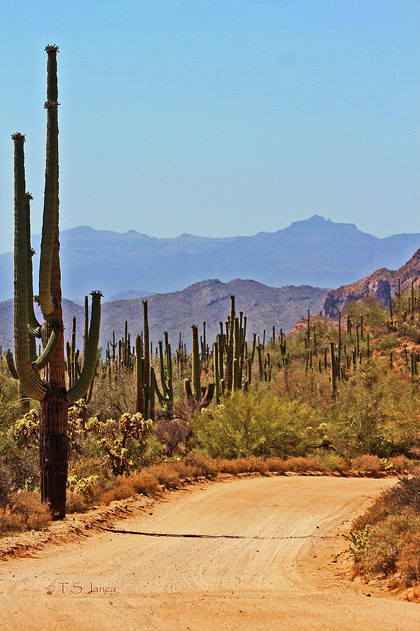 Down This Road To The Gila River Photograph by Tom Janca