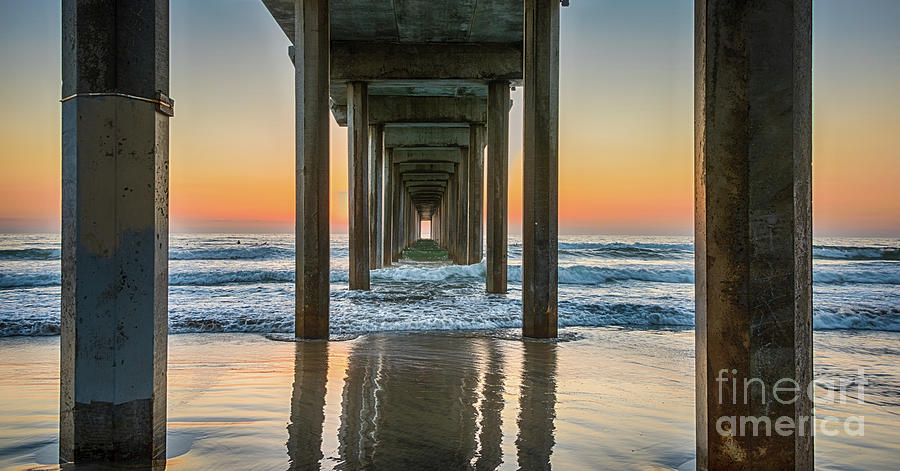 Down Under Scripps Pier  Photograph by David Levin