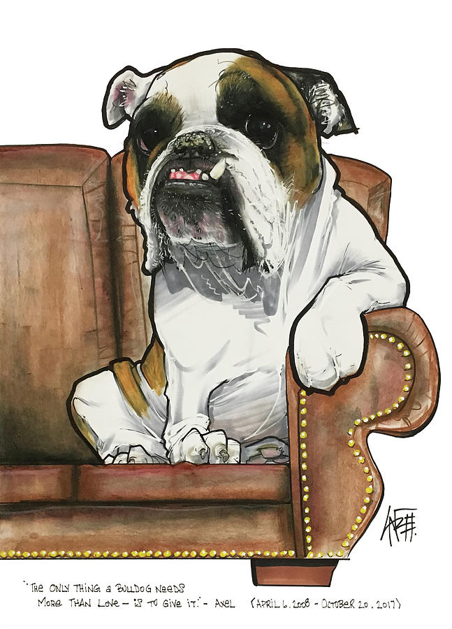 Pet Portrait Drawing - Downey 3246 by John LaFree