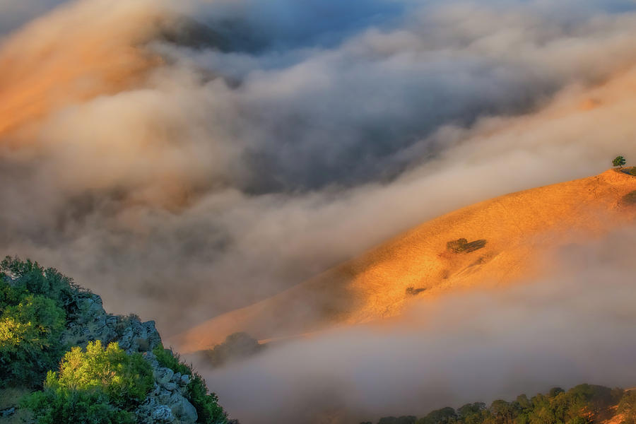 Downhill Fog Flow Photograph by Marc Crumpler