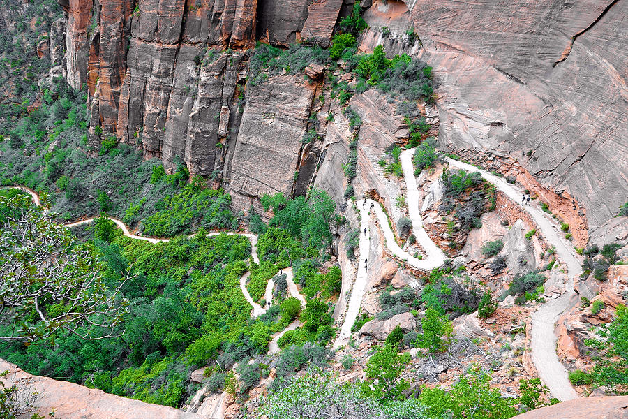 Downhill Switchbacks from Angels Landing Photograph by Robert Meyers-Lussier