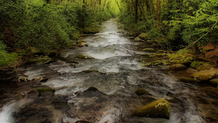 Spring Photograph - Downstream by Sandy Keeton