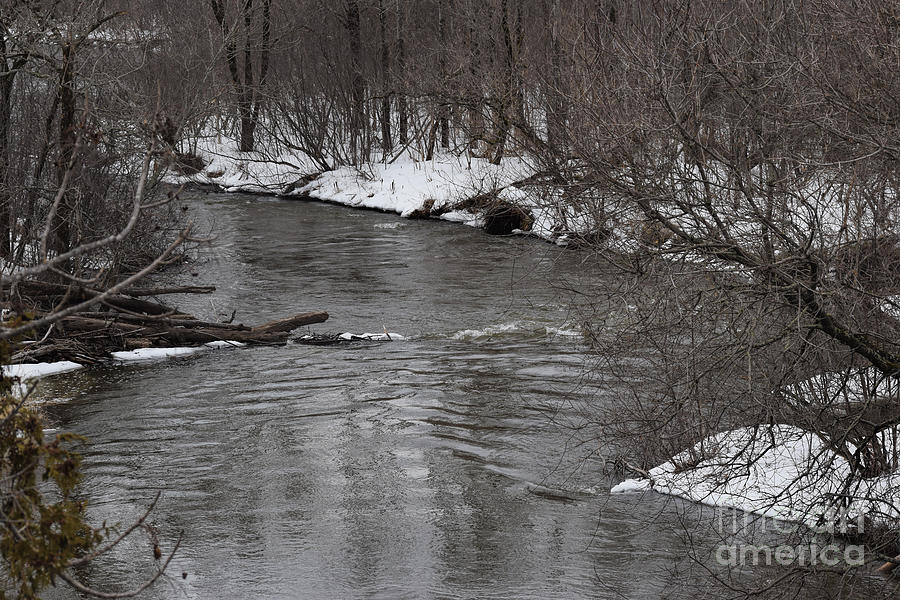 Nature Photograph - Downstream by William Tasker