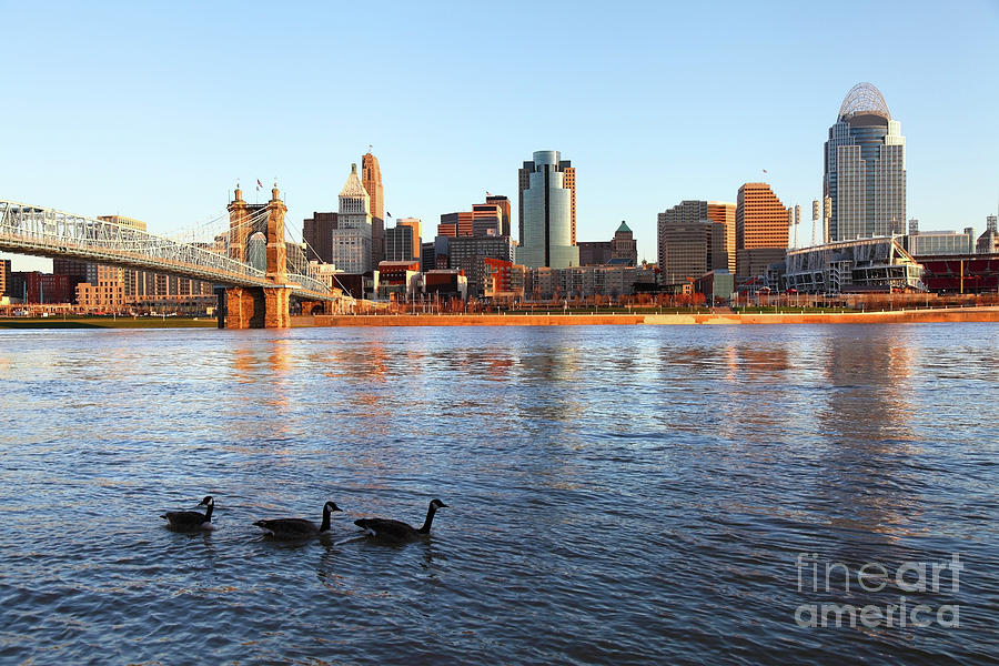 Downtown Cincinnati Skyline Photograph By Denis Tangney Jr Pixels