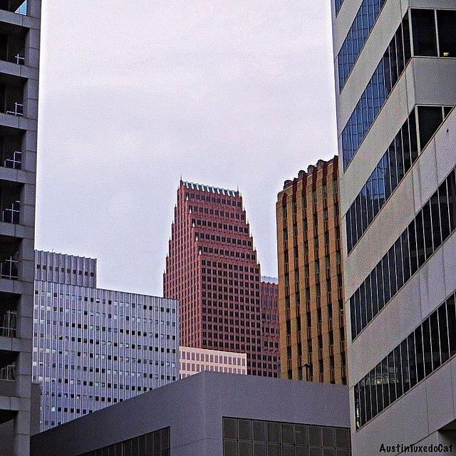 Houston Photograph - #downtown #houston On A Gloomy Cold by Austin Tuxedo Cat