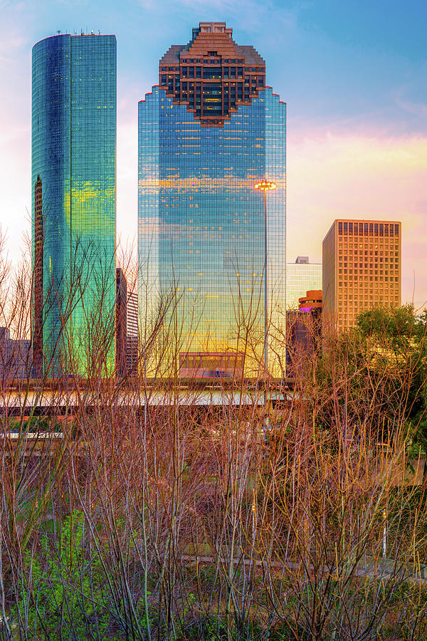 Houston Skyline Photograph - Downtown Houston Skyline Through the Trees by Gregory Ballos