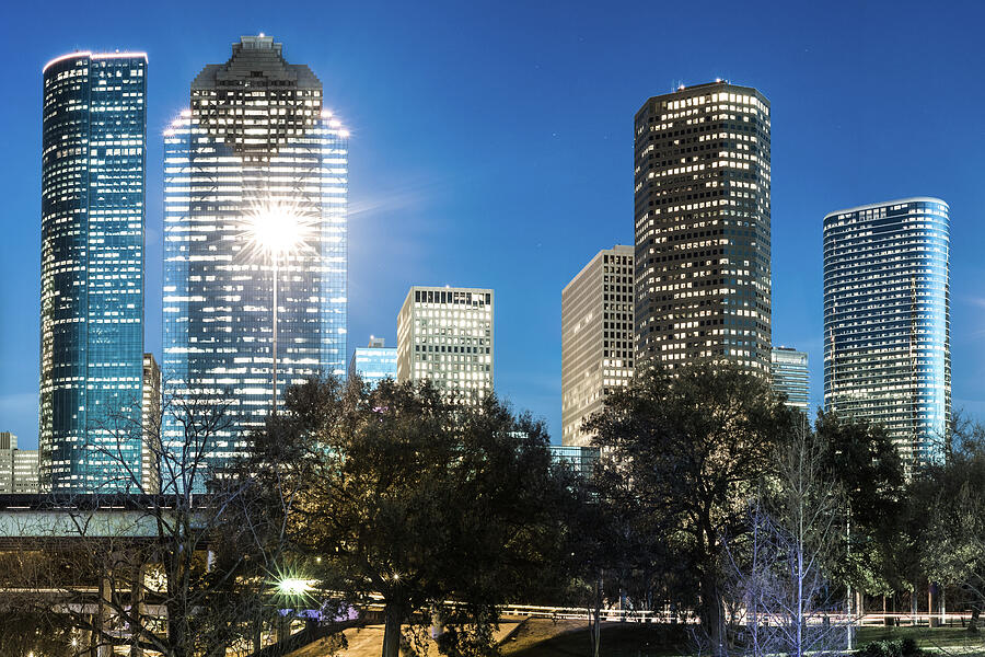 Downtown Houston Texas City Skyline And Trees Photograph