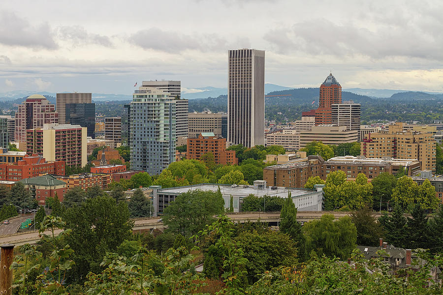 Downtown Portland Cityscape Nestled in Trees Photograph by David Gn