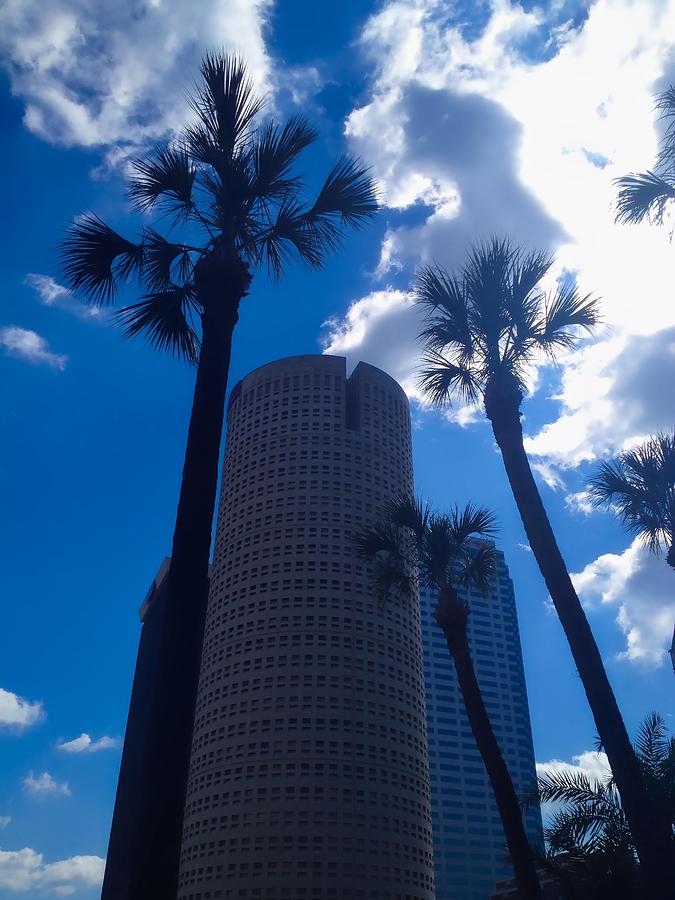 Downtown Tampa Photograph by Mark J Dunn