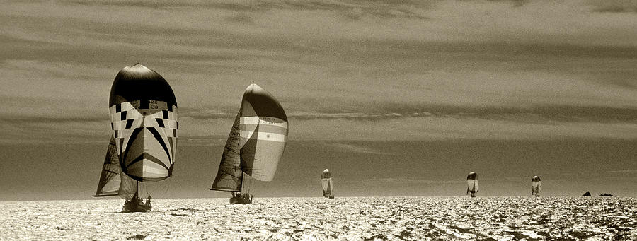 Downwind sailing Photograph by Steve Williams