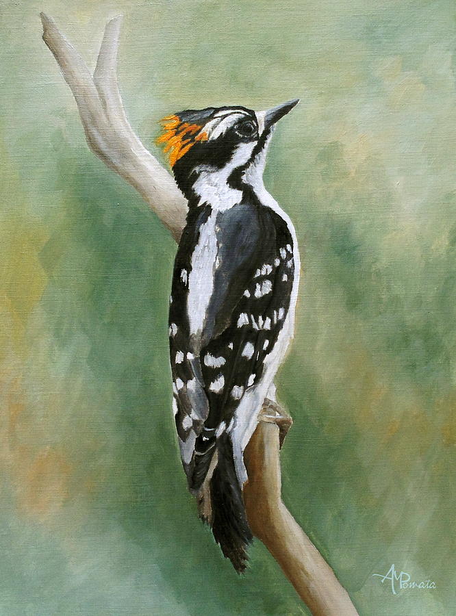 Downy Woodpecker Painting by Angeles M Pomata