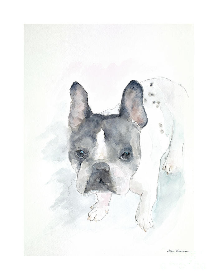 Dog Painting - Dozer by Joan Sharron