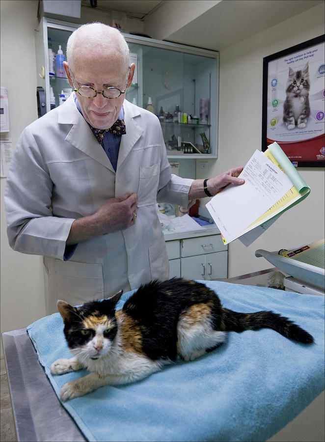 Dr. Johnson and Cat Photograph by Robert Ullmann