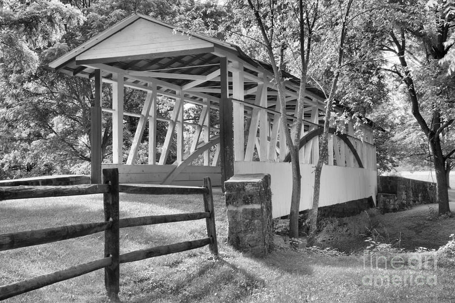 Dr. Kinsley Covered Bridge In The Forest Black And White Photograph by Adam Jewell
