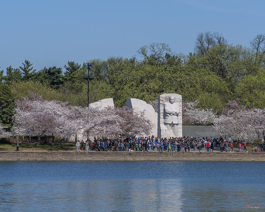 Dr. Martin Luther King, Jr. Memorial at Cherry Blossom Time DS0071 Photograph by Gerry Gantt