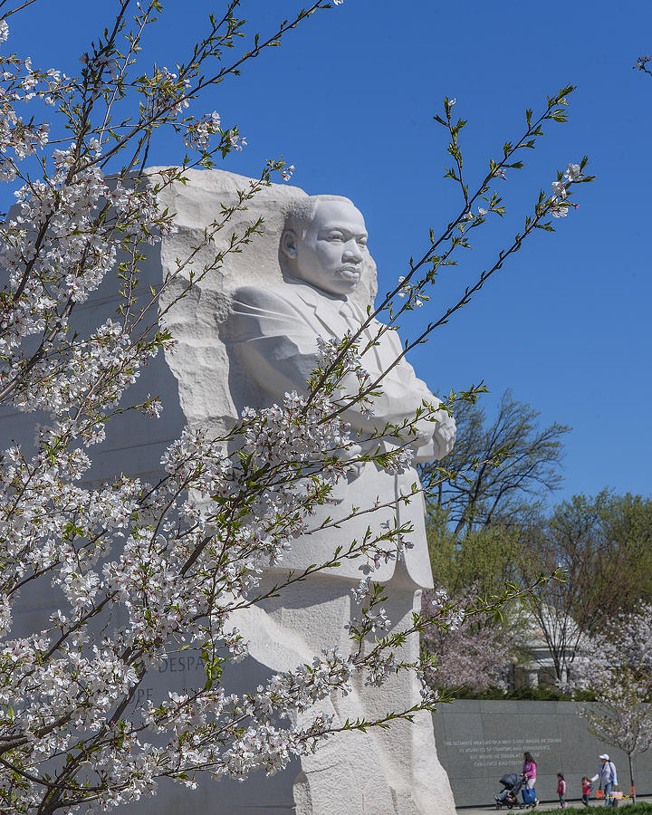 Martin Luther King Jr Photograph - Dr. Martin Luther King, Jr. Memorial at Cherry Blossom Time DS0072 by Gerry Gantt