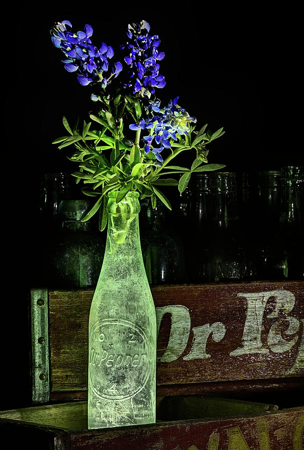 Dr Pepper and Bluebonnet Still Life Photograph by JC Findley