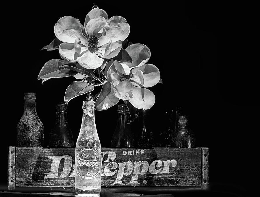 Dr Pepper and Magnolia Still Life Black and White Photograph by JC Findley