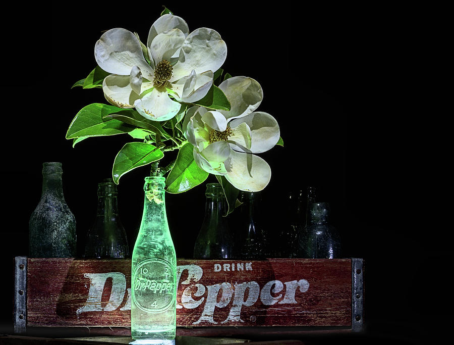 Dr Pepper and Magnolia Still Life Photograph by JC Findley