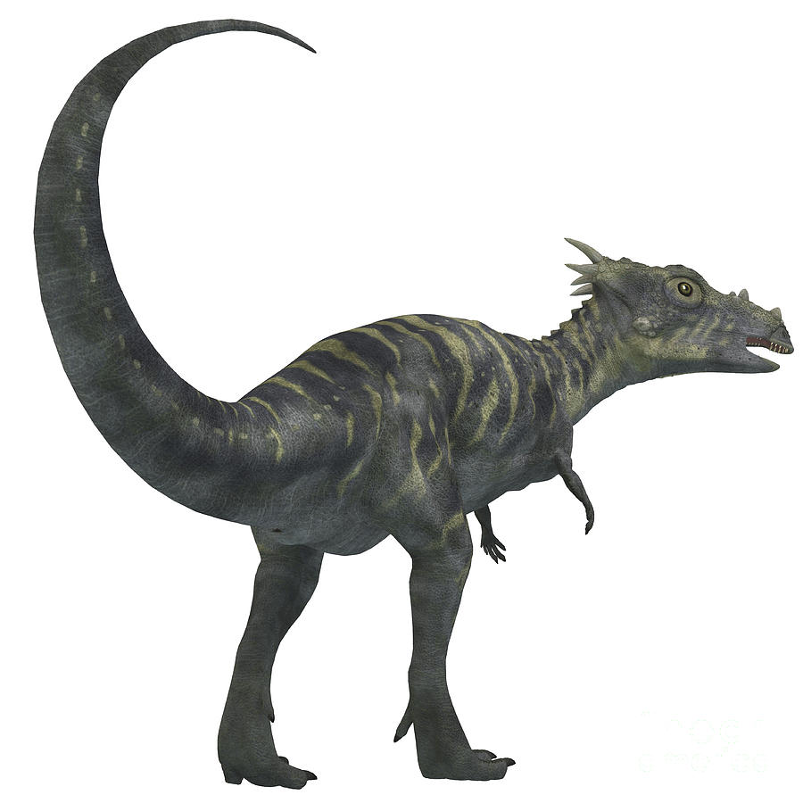 Dracorex Dinosaur From The Cretaceous Digital Art