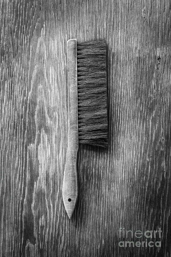 Drafting Brush Photograph by YoPedro