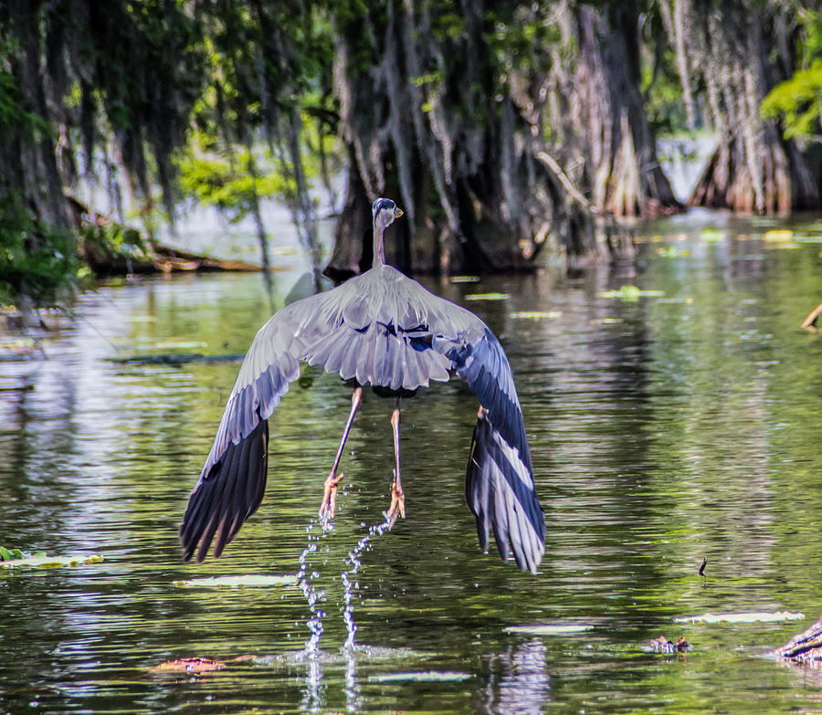 Dragging His Feet by MaryAnn Barry Dragging His Feet by MaryAnn Barry