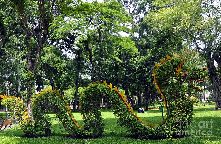 Dragon Topiary Photograph by Andrew Dinh